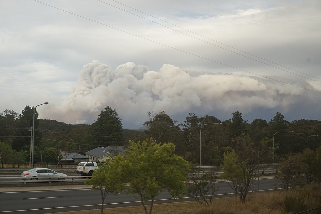 Tzw. Czarne Lato w Australii (2019/2020) – pożary buszu