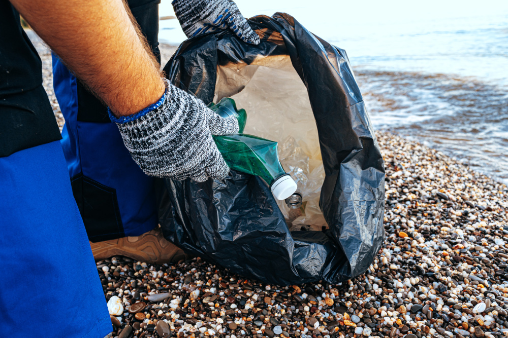 Sprzątanie plaż to sposób, jak pomóc żółwiom morskim