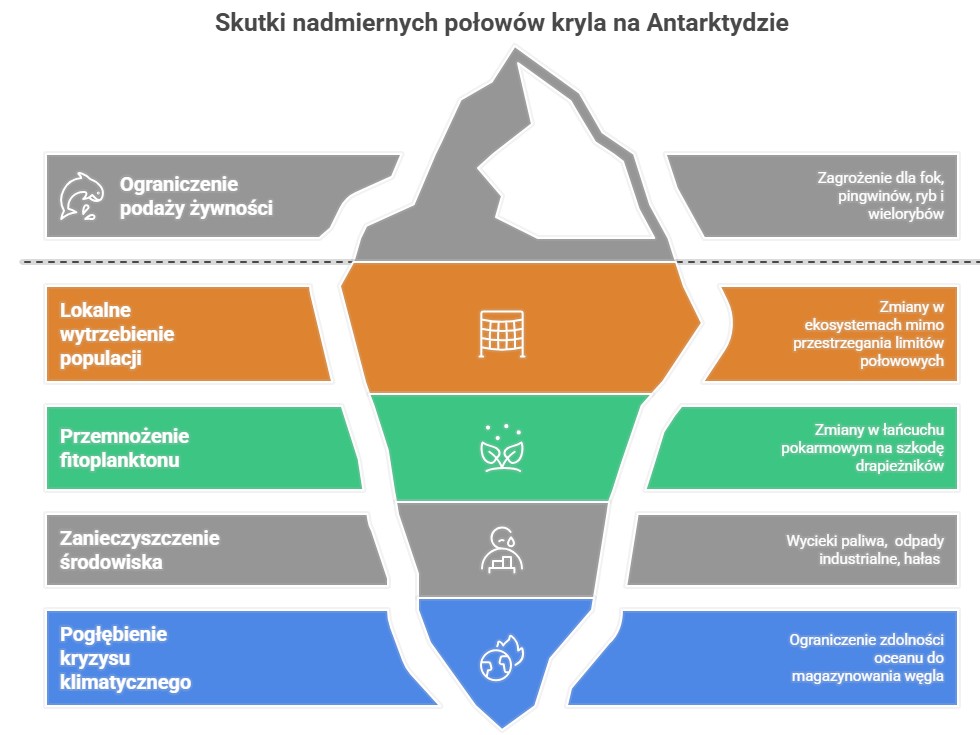 konsekwencje połowów kryla