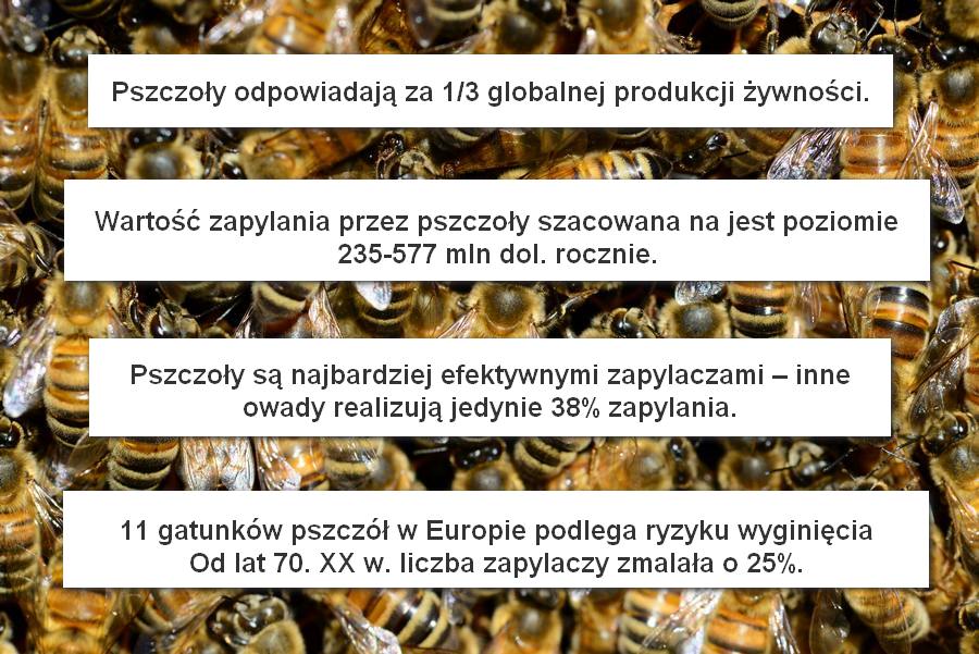 Obrazek przedstawiający fakty o wymieraniu pszczół