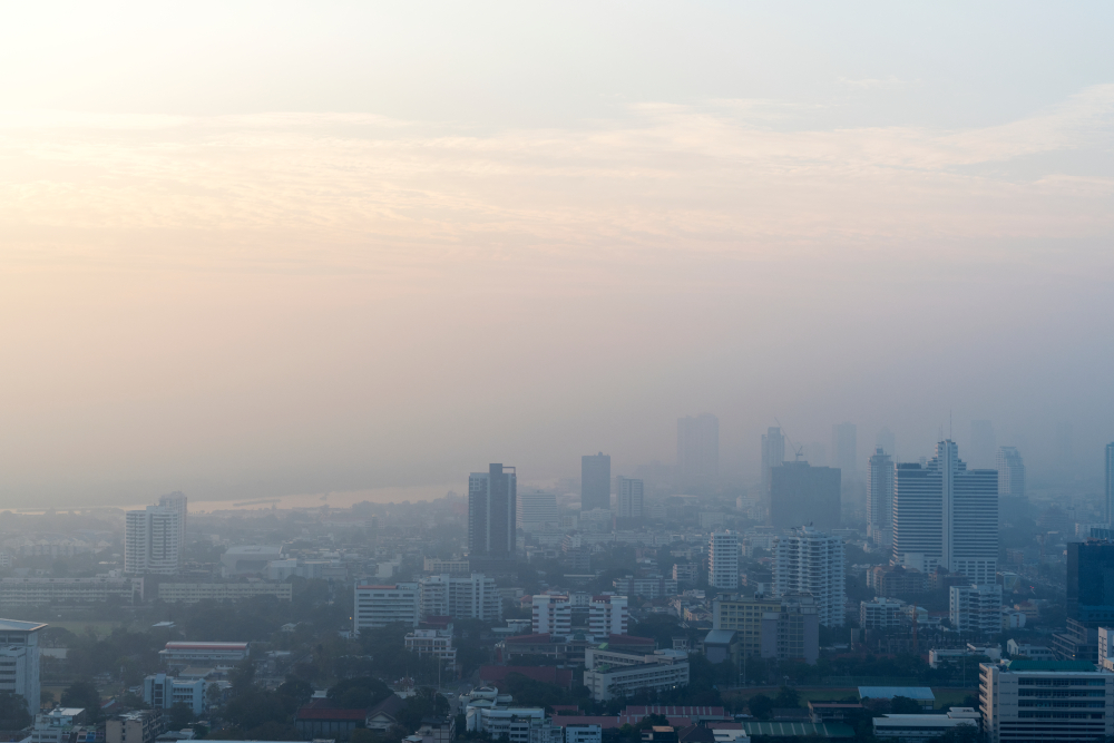 Smog składa się głównie z pyłów zawieszonych (PM10, PM 2,5)