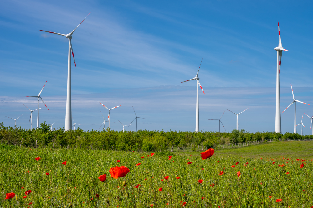 NIK: Opóźnienia i bariery w rozwoju polskiej energii wiatrowej