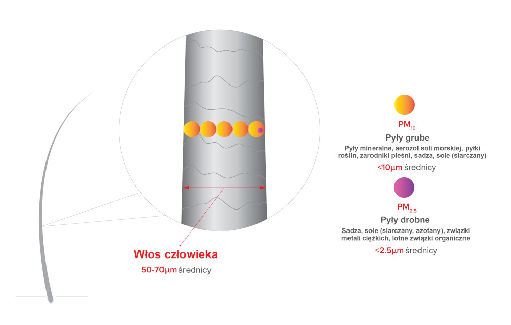 Wielkość cząstek pyłów zawieszonych. Autor: designium/shutterstock.com