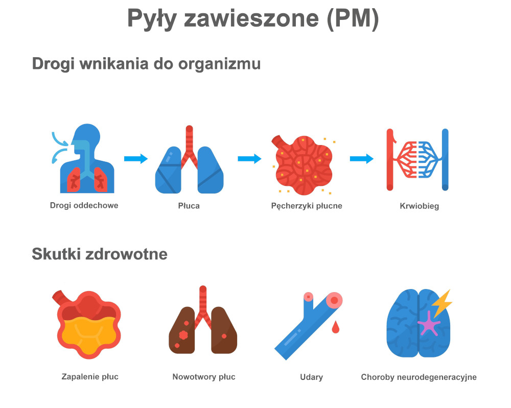 Wpływ pyłów zawieszonych na zdrowie człowieka