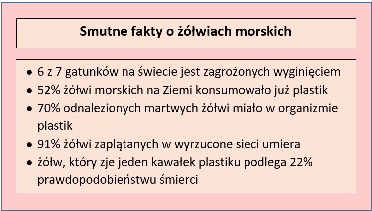 fakty na temat żółwi morskich