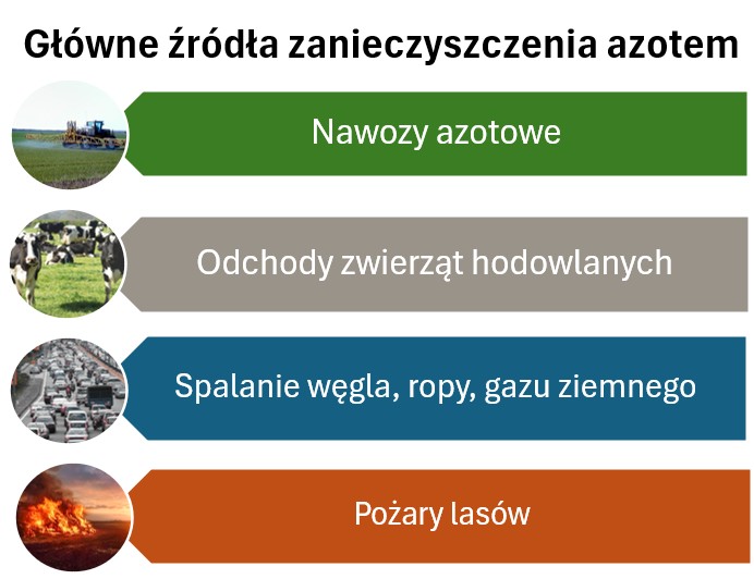 Jakie są główne źródła zanieczyszczenia azotem?