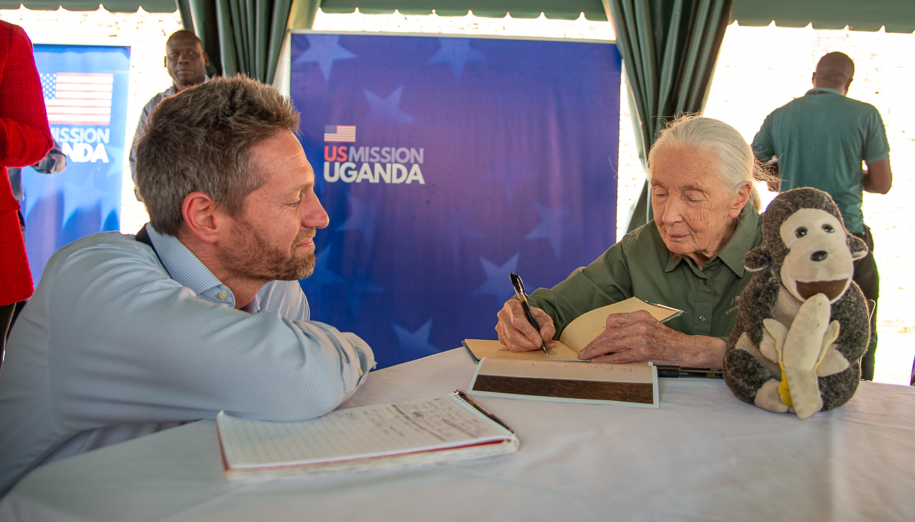 Jane Goodall w rezerwacie Gombe Stream w Tanzanii. Jej przełomowe badania nad szympansami zmieniły spojrzenie nauki na zachowanie naczelnych i stały się symbolem ochrony przyrody na całym świecie