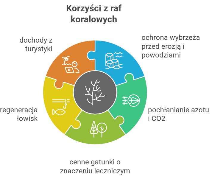 Jaka jest zależność człowieka od raf koralowych?