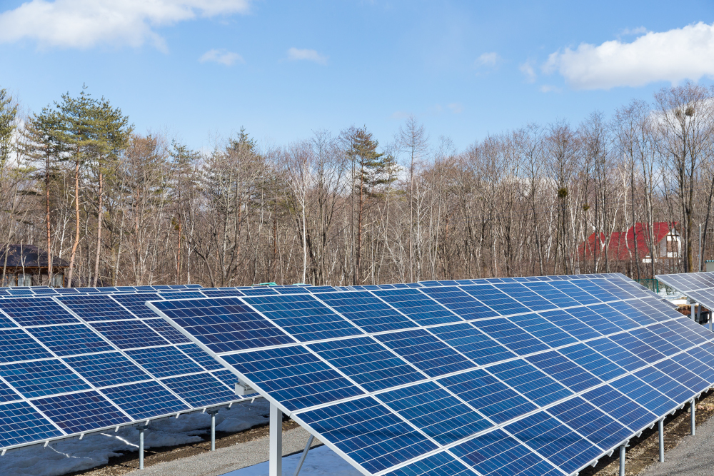Energia słoneczna coraz bardziej ważna w miksie energetycznym