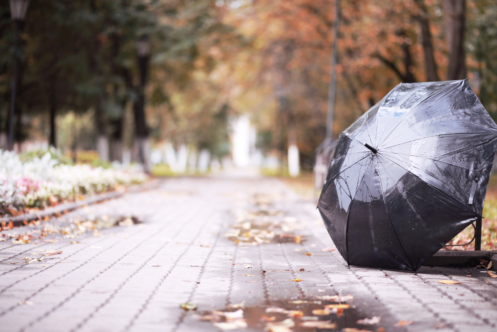 Pogoda na czwartek, 16 października 2025 roku