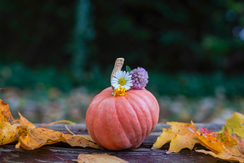 Jaka będzie pogoda w czwartek, 30 października