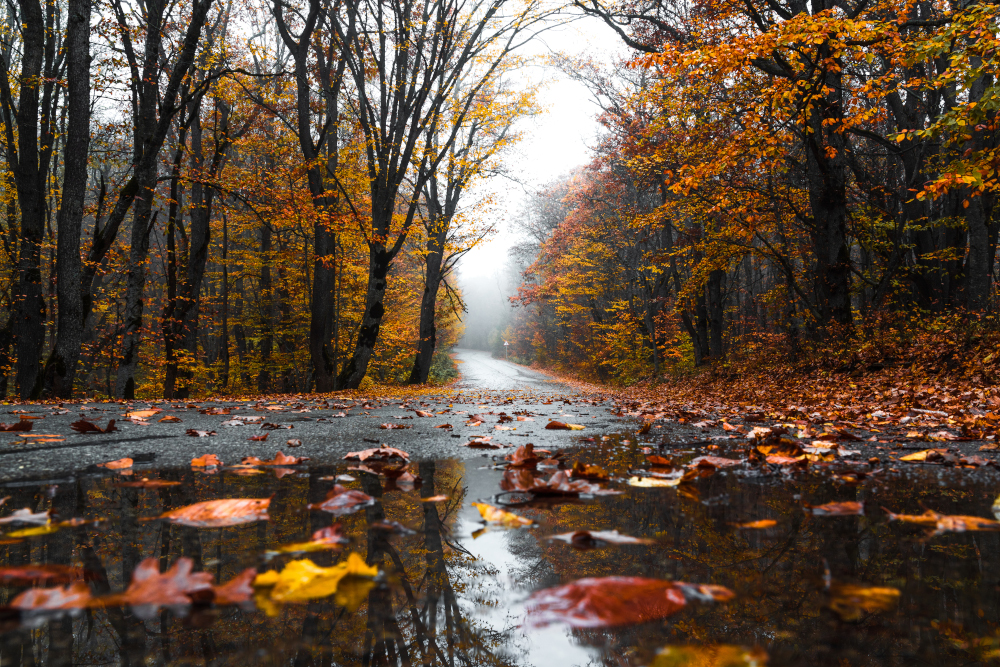 Pogoda na poniedziałek, 27 października 2025 roku