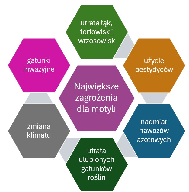 Największe zagrożenia dla motyli