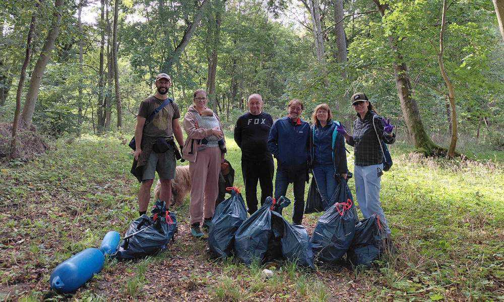 Czyste Mazury po akcji sprzątania, widok na jezioro i zieleń po działaniach Fundacji Żeglarstwo Jest Eko.