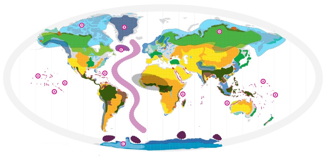 Mapa przedstawiająca punkty krytyczne Ziemi
