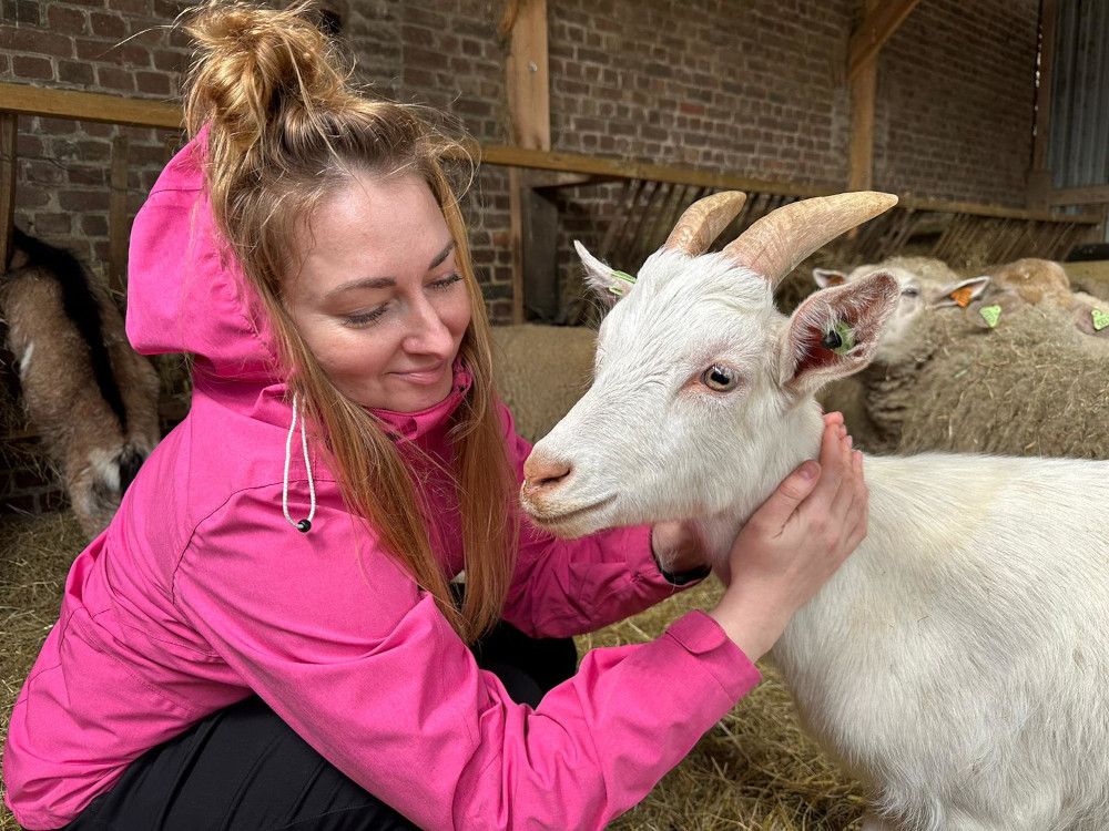 6,5 miliona ton zboża idzie do paszy, a nie na talerze. System żywnościowy jest zepsuty