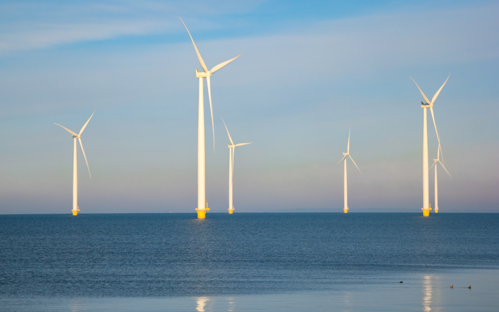 Wysokie morskie turbiny są dla ptaków szczególnie niebezpieczne