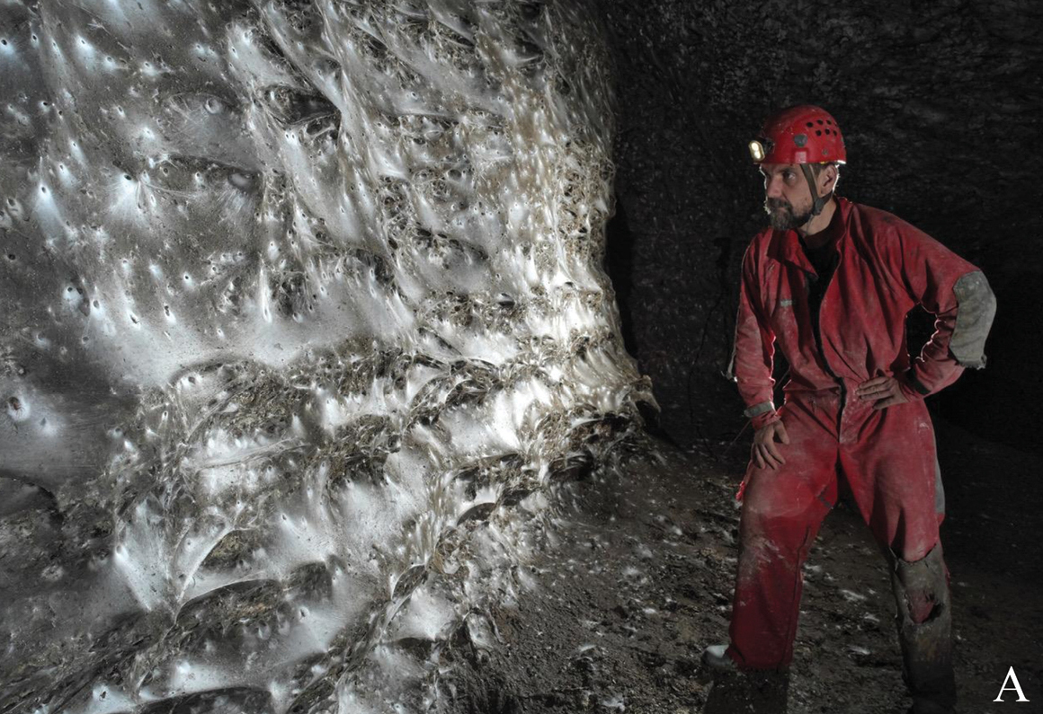 Jaskiniowa kolonia pająków zbudowała prawdopodobnie największą pajęczynę, jaką kiedykolwiek znaleziono.