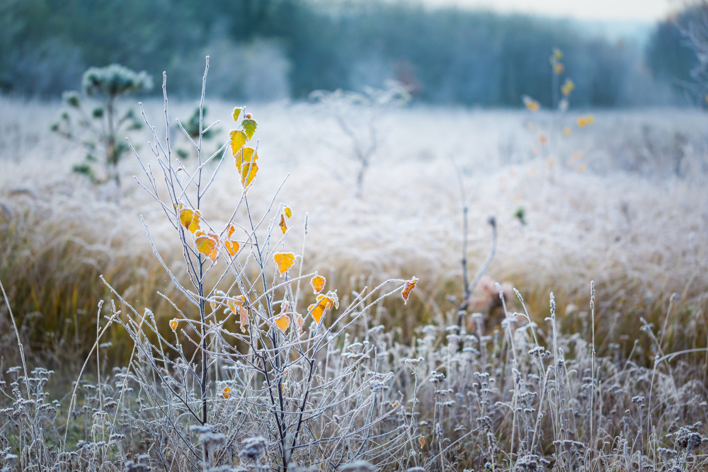 Pogoda na środę, 19 listopada 2025