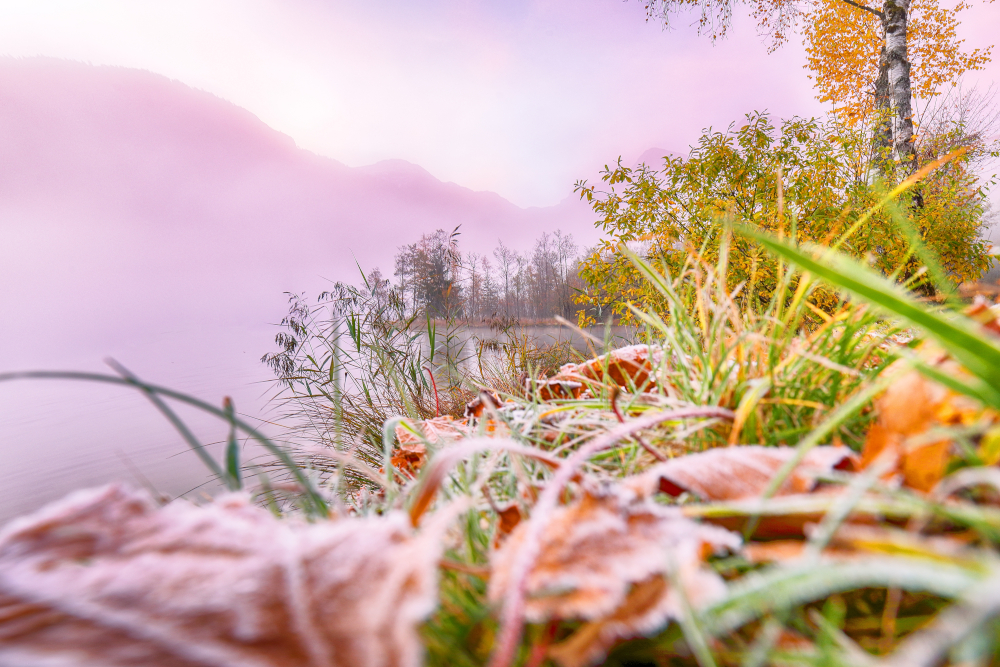 Pogoda na czwartek, 20 listopada