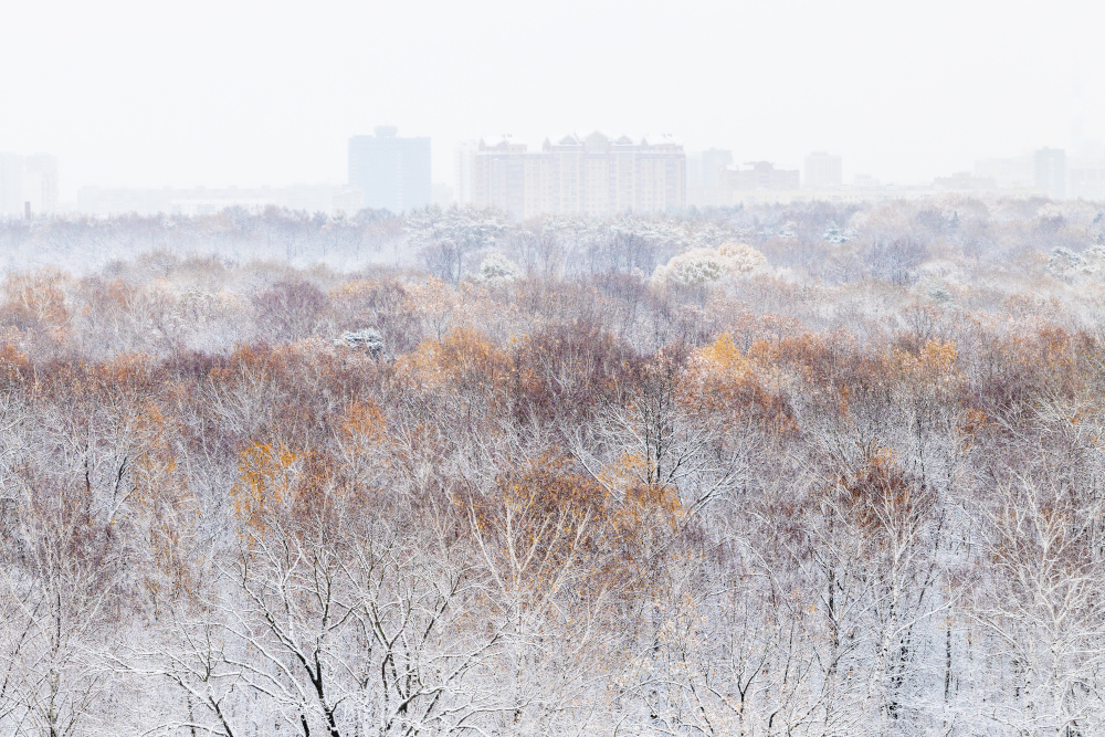 Pogoda na piątek, 21 listopada 2025 roku