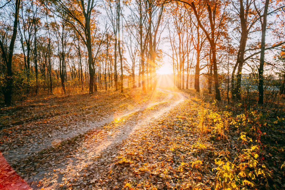 Jakiej pogody spodziewać się w piątek, 7 listopada 2025 roku