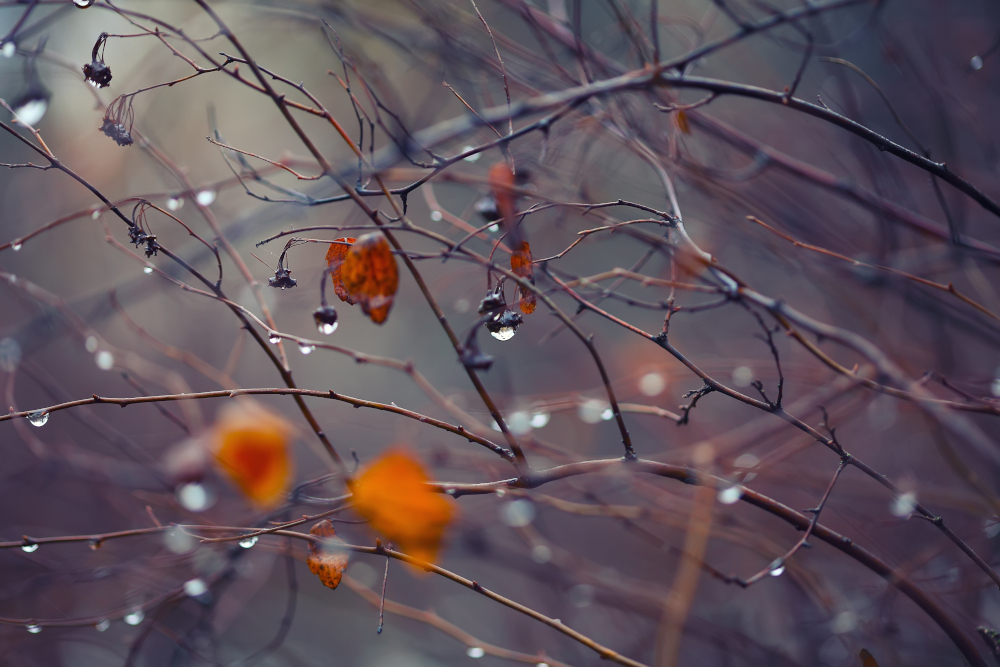 Pogoda na poniedziałek, 17 listopada