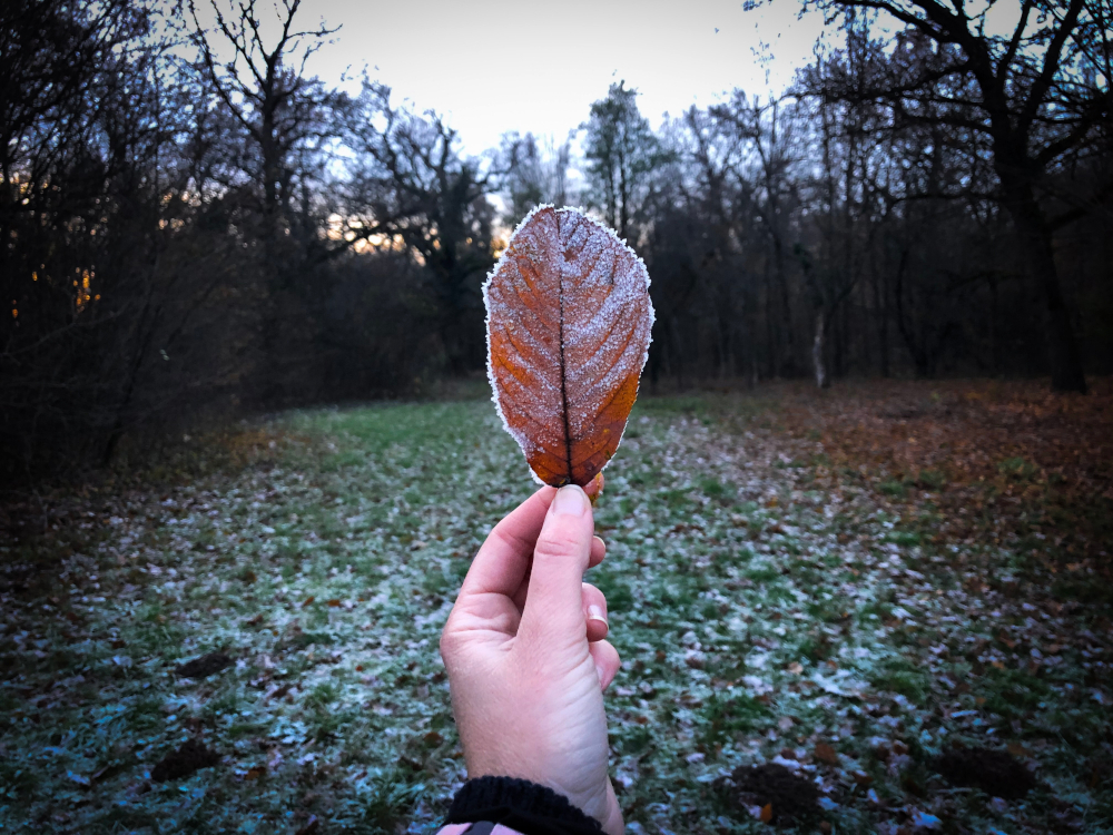 Pogoda na weekend, 15-16 listopada 2025 roku