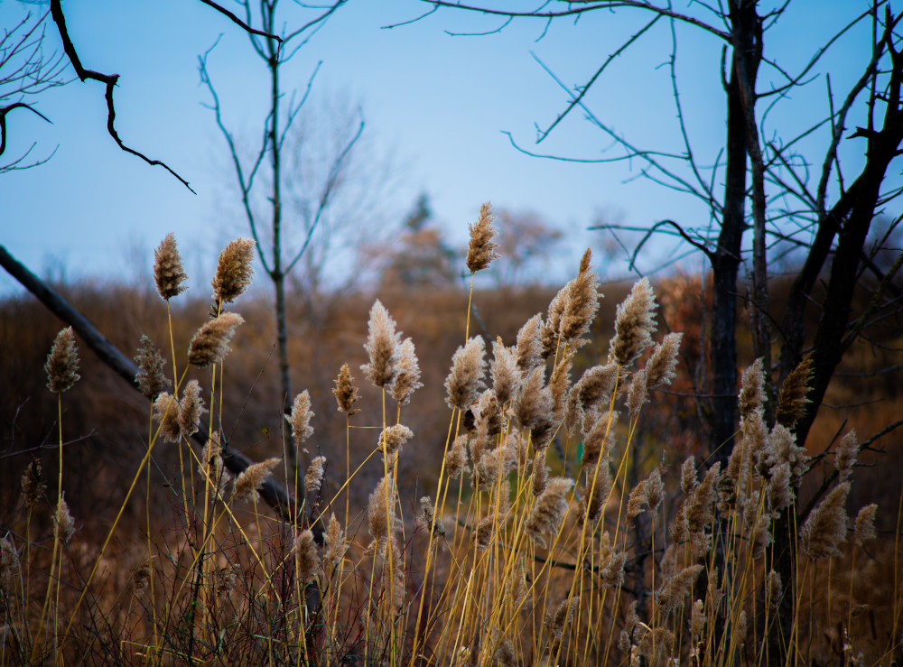 Pogoda na wtorek, 18 listopada 2025 roku