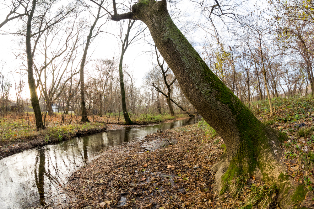 Prognoza pogody na piątek, 14 listopada 2025 roku