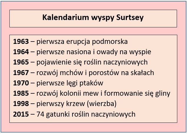 Diagram przedstawiający krótką historię Surtsey; opracowanie własne