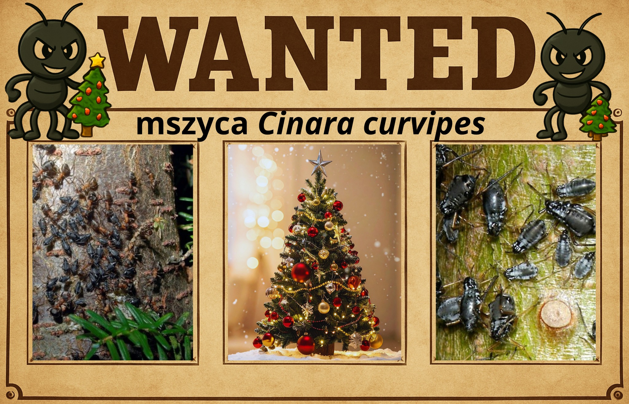 Instytut Ochrony Przyrody Polskiej Akademii Nauk