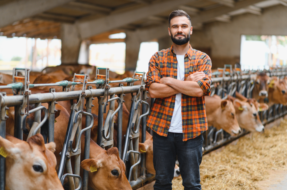 Chiny nakładają cła na unijny przemysł mleczarski – reakcje i konsekwencje