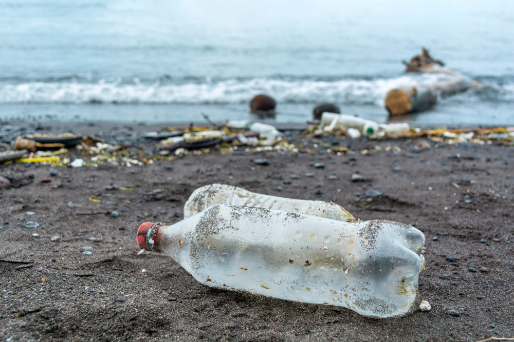 Mikroplastik przenika do środowiska w procesie degradacji śmieci
