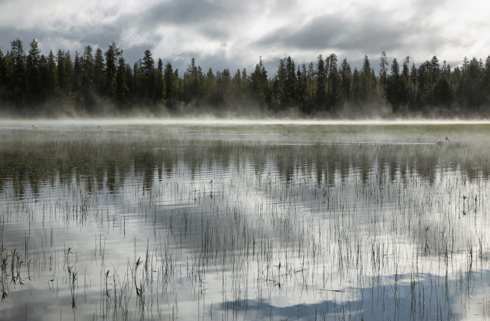 Efekt jeziora wynika z parowania wody z dużych akwenów