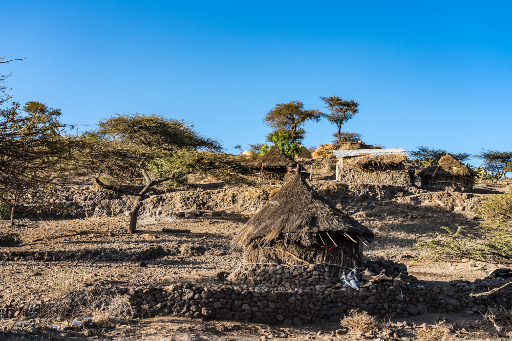 Etiopia w ostatnich latach cierpi z powodu dotkliwych susz
