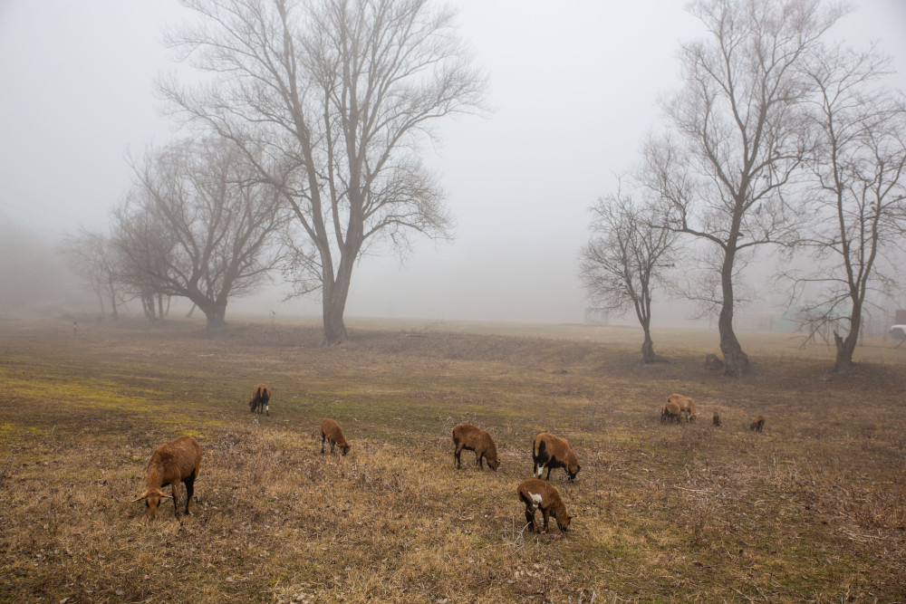 Pogoda na czwartek, 11 grudnia 2025 roku