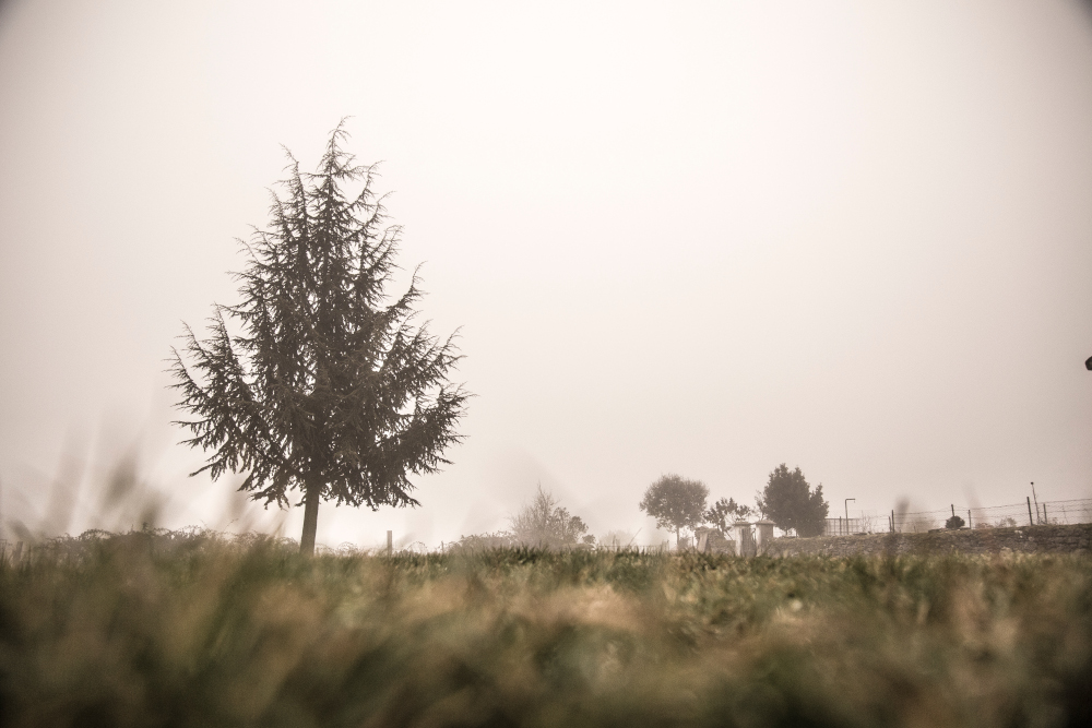 Pogoda na piątek, 19 grudnia 2025 roku