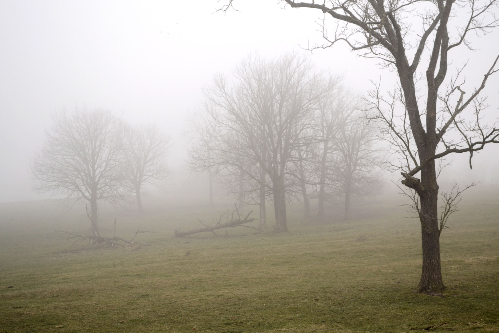 Pogoda na poniedziałek, 8 grudnia 2025 roku