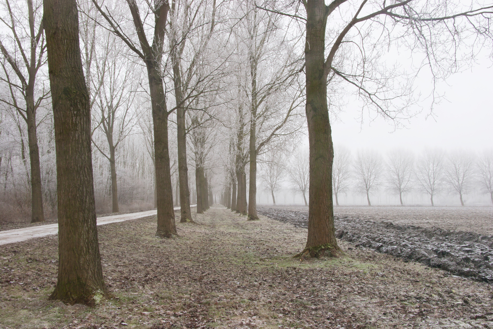 Pogoda na weekend, 20-21 grudnia