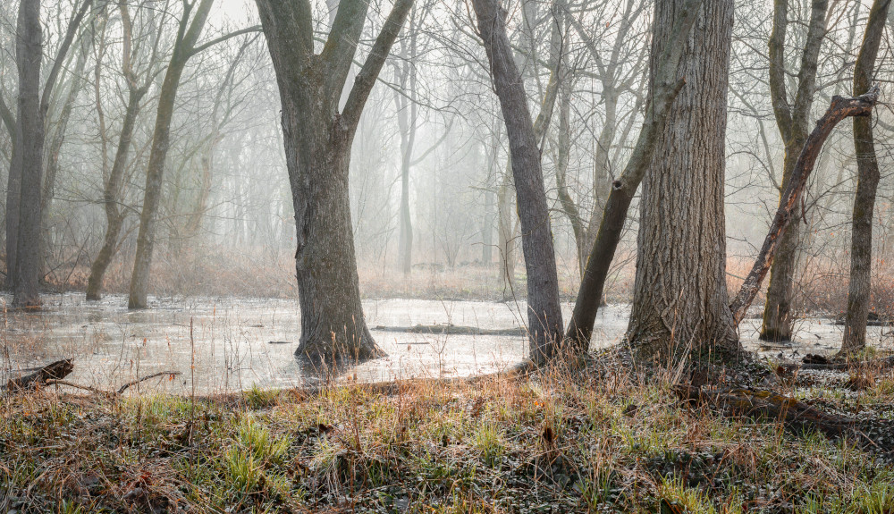 Jakiej pogody spodziewać się możemy we wtorek, 9 grudnia 2025 roku