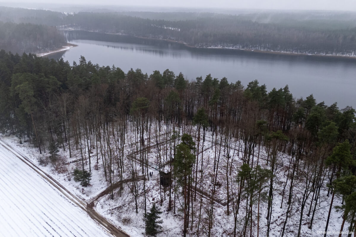 Ośrodek rehabilitacji rysi pod Spychowem położony jest w malowniczej scenerii 