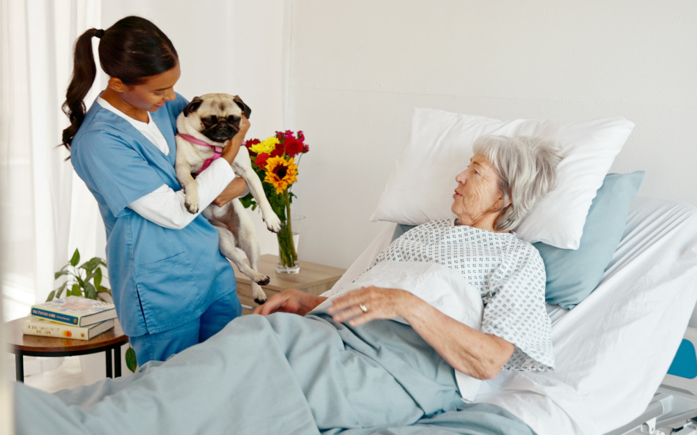 Zwierzęta mogą odwiedzać pacjentów w szpitalach pod pewnymi warunkami