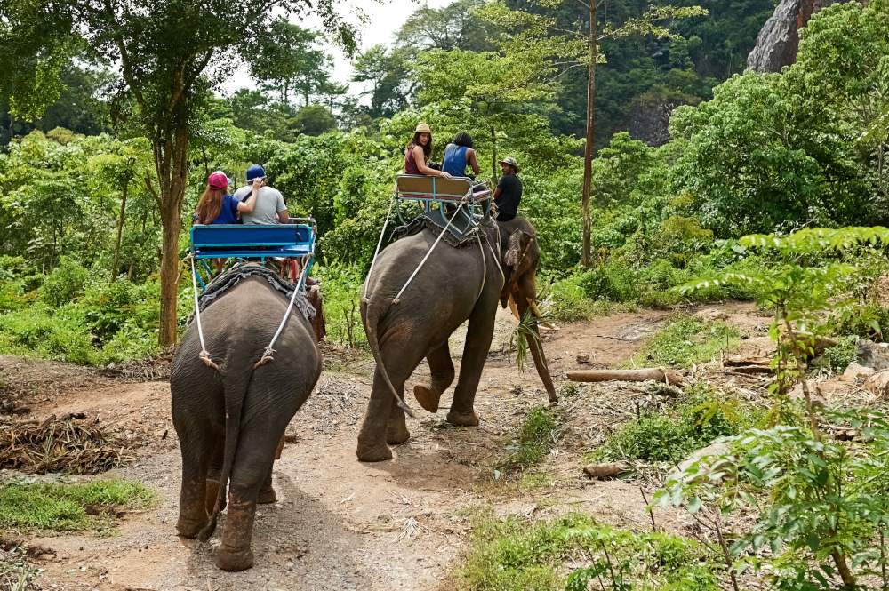Koniec turystystycznych przejażdżek na Bali