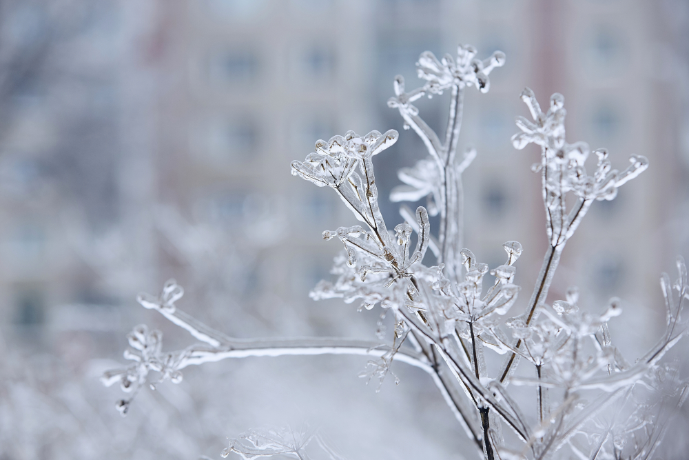 Pogoda na piątek, 30 stycznia 2025 roku