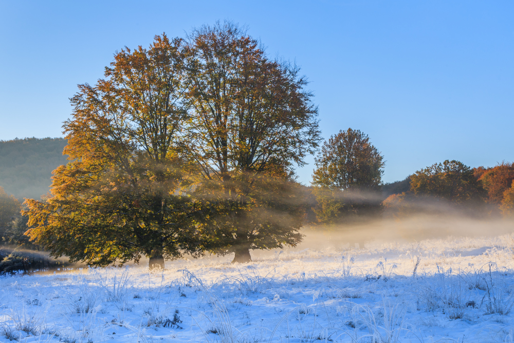 Pogoda na 21 stycznia 2026 roku