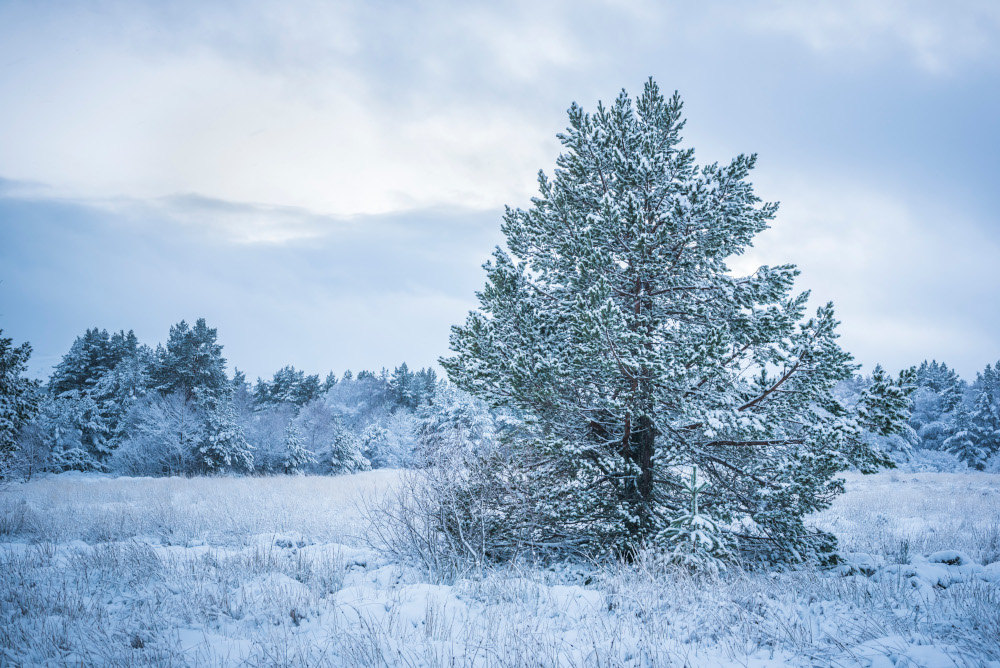Pogoda na weekend, 24-25 stycznia 2026 roku
