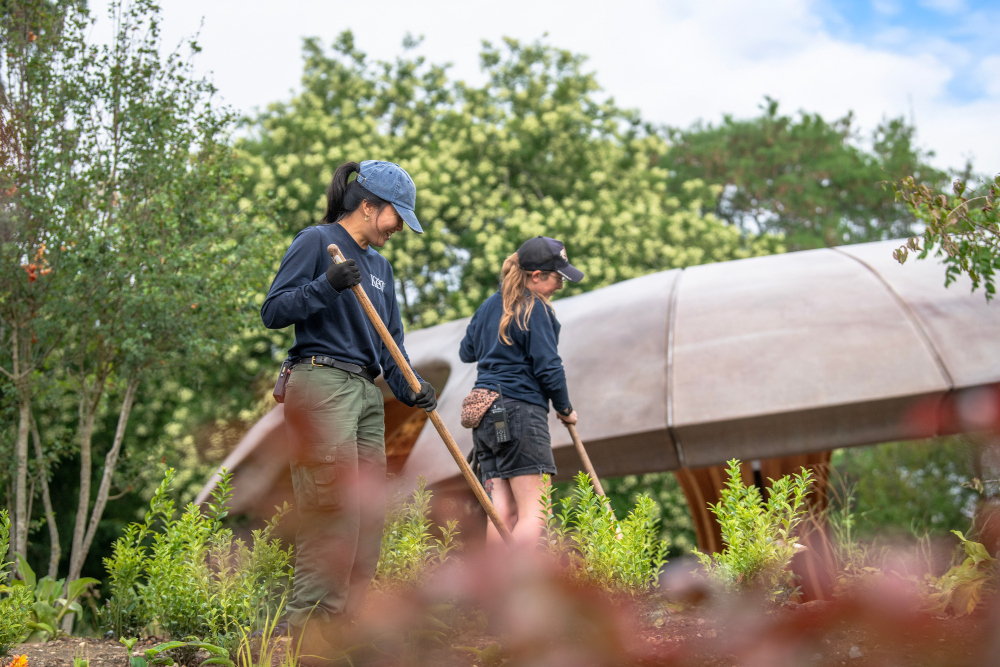 Pracownice Ogrodu Węglowego w Londynie