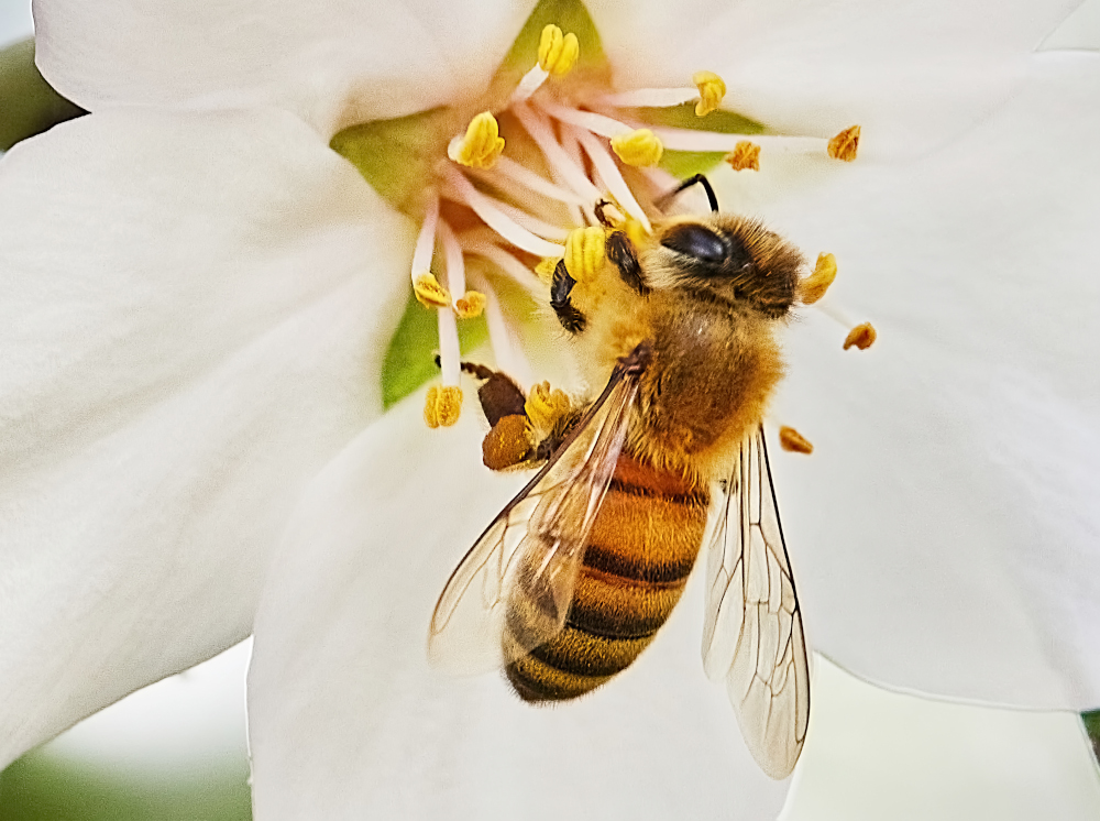 Inteligencja i matematyka mogą przyjmować formy, których nie spodziewamy się dostrzec.