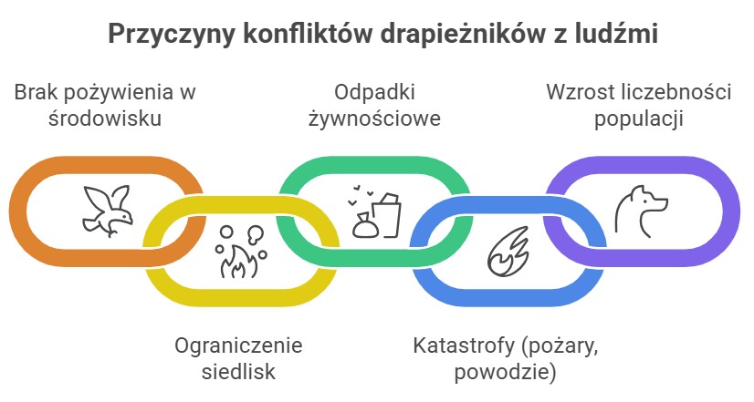 czynniki wpływające na zwiększoną liczbę konfliktów z dzikimi zwierzętami;